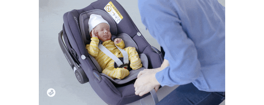 008.gif