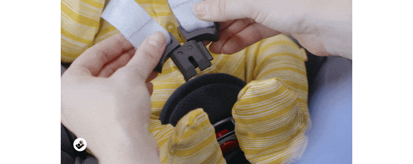 013.gif